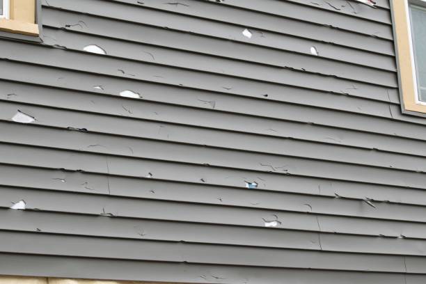 Best Aluminum Siding Installation  in Mexico, MO